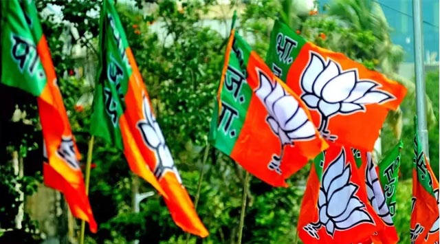 Bjp Flag