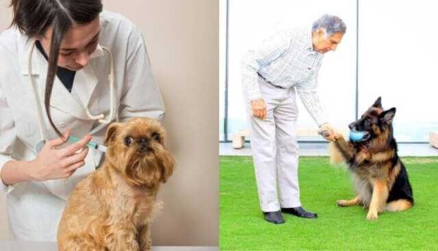 Ratan Tata Animal Hospital 750x430 1.jpg