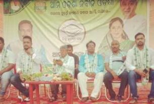 Photo For The News Of Bjd