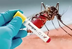 Dengue