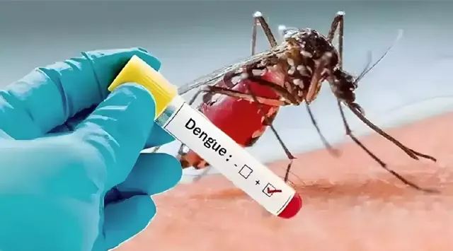 Dengue