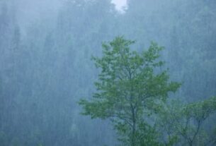 Torrential Rain In Mountain