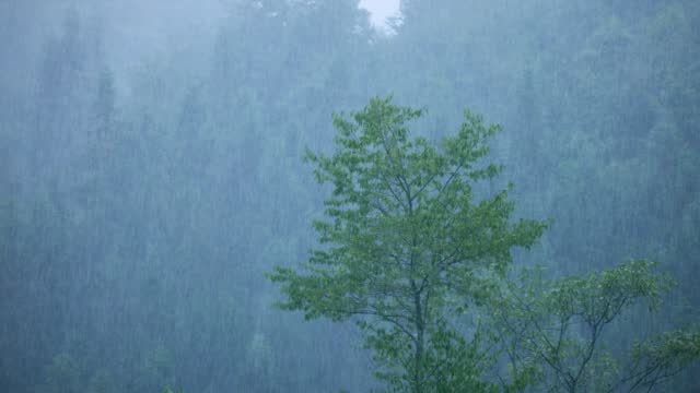 Torrential Rain In Mountain