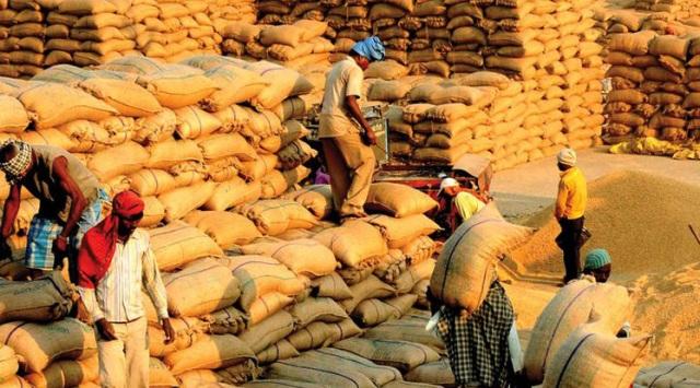 Paddy In Mandi