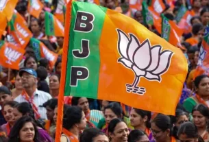 Bjp Flag