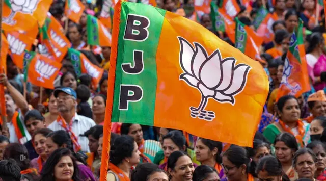 Bjp Flag