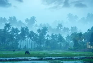 Monsoon