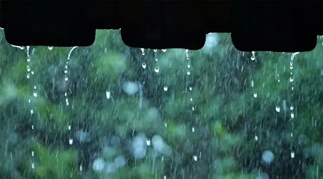 Rain