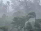 Heavy rain 2