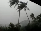 Kalabaisakhi Rain